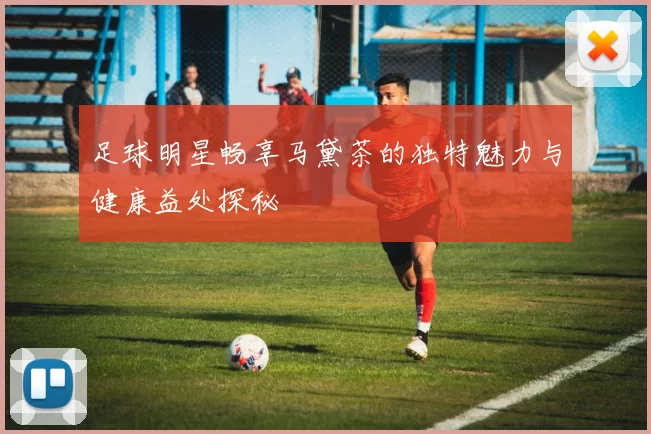 足球明星畅享马黛茶的独特魅力与健康益处探秘